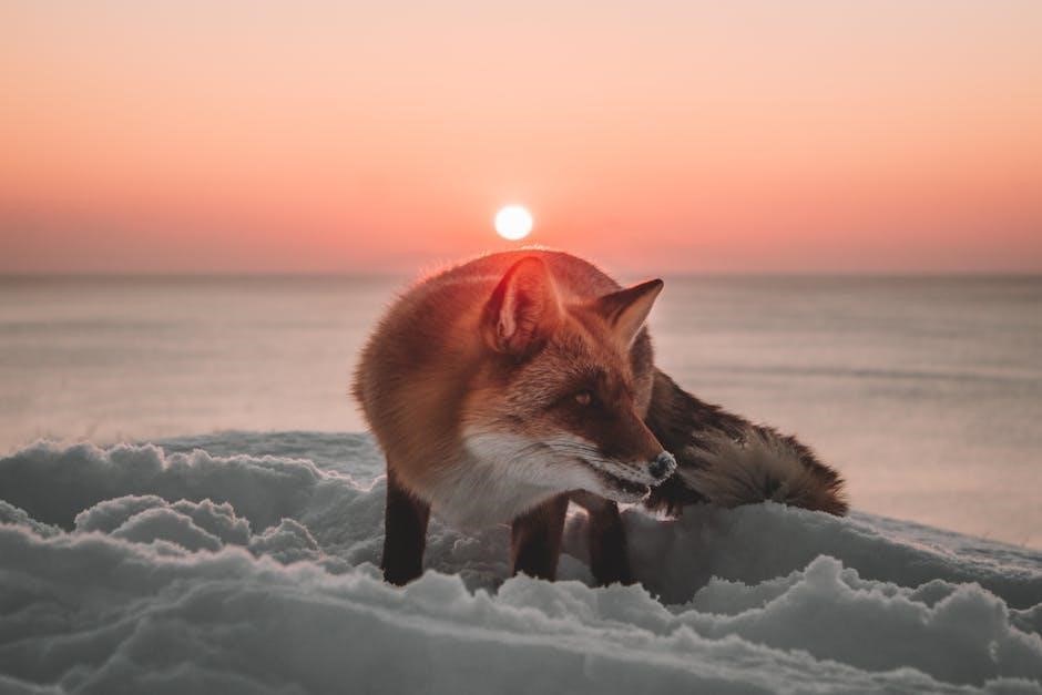 arctic fox temperature control manual