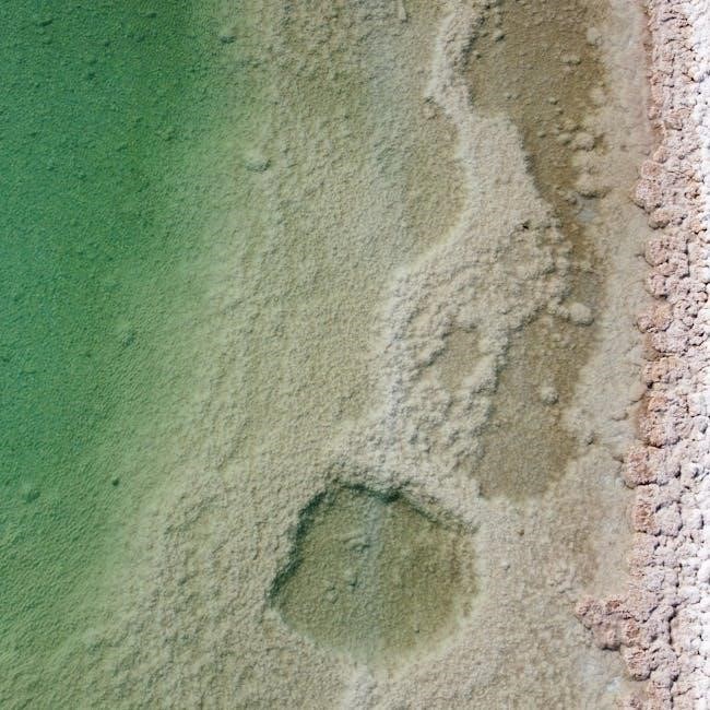 dead sea scrolls translated pdf